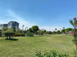 New beautiful modern park with green plants, tropical trees and bushes. Resting place in the city photo