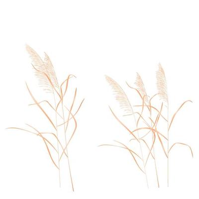 Swamp Grass Vector Art, Icons, and Graphics for Free Download