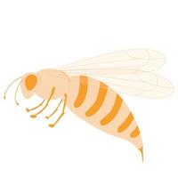 ilustración de stock de vector de avispa. Aislado en un fondo blanco. un insecto con una picadura. abeja.