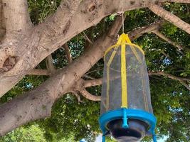 Ecological fly and insect trap photo