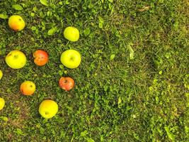 apples lie on green grass. fruits are laid out in the shape of the letter A. Apple alphabet. inscription from apples. abbreviation, signature from apples, initials from fruits. fruit mail photo