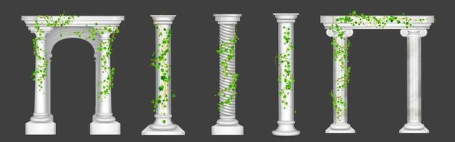 hiedra sobre columnas y arcos de mármol, enredaderas verdes vector