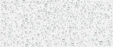 gotas de agua de condensación sobre fondo transparente vector