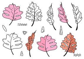 Set botanical hand drawn vector element.