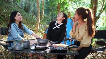 prise de vue à la main, groupe de jeunes femmes assises devant une tente de camping, elles aiment discuter et rire avec plaisir ensemble en campant dans un parc naturel video