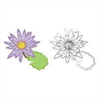 hand drawn water lily with color vector