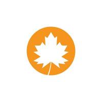 maple leaf illustration vector