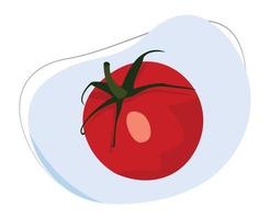 vector de dibujos animados de tomate para la educación de los niños sobre los tipos de frutas y verduras aisladas sobre fondo blanco