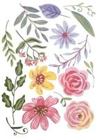 watercolor flower elements hand draw clip art vector