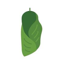 cocoon animal vector illustration icon image