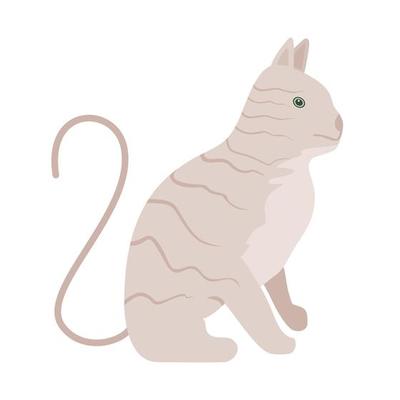 Free Vectors  Cute tabby cat icon