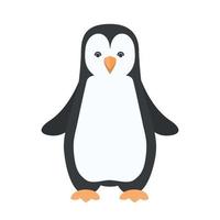 penguin animal vector illustration icon image