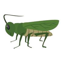 grasshopper animal vector illustration icon image