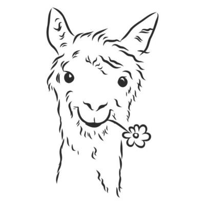 lama vector sketch