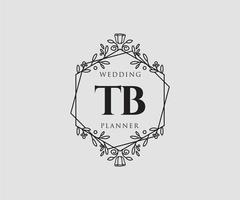 colección de logotipos de monogramas de boda con letras iniciales tb, plantillas florales y minimalistas modernas dibujadas a mano para tarjetas de invitación, guardar la fecha, identidad elegante para restaurante, boutique, café en vector