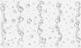 Oxygen bubbles on transparent background. Fizzy carbonated drink, seltzer, beer, soda, cola, lemonade, champagne, sparkling wine texture. Sea or aquarium water stream vector