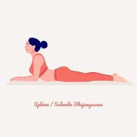 Sphinx Yoga pose. Young woman practicing yoga exercise. Woman workout fitness, aerobic and exercises. vector