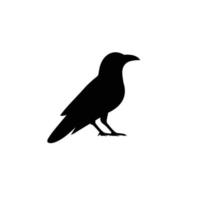 Raven simple flat icon vector