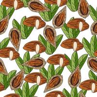 Almonds seamless pattern, nuts whole and half and leaves on a white background vector