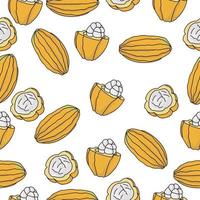 Cocoa fruit seamless pattern, juicy fruit with bright peel whole and half on a white background vector