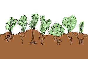 One line vector set of ripe vegetables, a sketch of a family of plants growing in the ground.