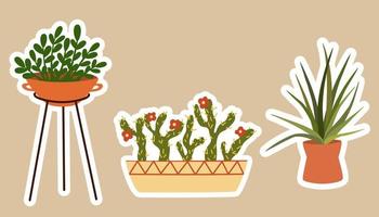 House plants stickers. Set of hygge tropical patee succulent plants stickers. Cozy lagom style collection of plants in cartoon style. Hand draw vector bundle.