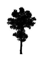 Tree silhouette for brush on white background photo