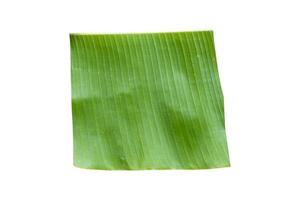 banana leaves isolated on a white background photo