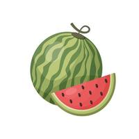 Fresh and juicy watermelon with slice vector