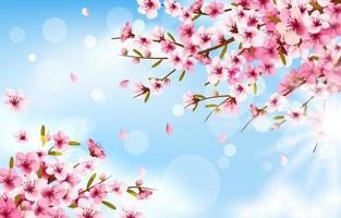 Peach Blossom On Blue Sky vector