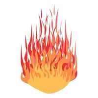 Fire. Big flame. Bright flaming elements. Colorful vector illustration on a white background.