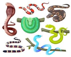 Snakes, wild tropical serpents, cobra and python vector