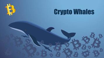 Concept screen with crypto whale floating in the sea of bitcoins. Golden bitcoin icon. Template for website or news illustration. Blue background. Vector EPS 10.