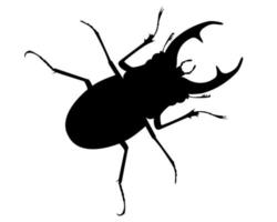 stag-beetle or an deer beetles living in the forest vector