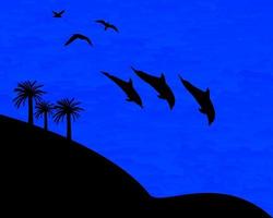 wildlife dolphins palm seagull water evening time vector