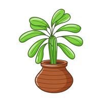 Vector cartoon house plant in pot. Indoor home plant with leaves. Cacti for home and interior. Colorful botanical doodle illustration isolated on white background.