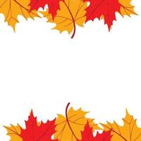 Autumn Leaves Border vector