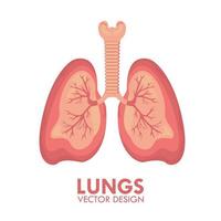Lungs Human Respiratory Organ Medical Healthcare Isolated Vector Illustration
