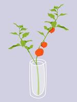 Glass vase with physalis branch inside. Hand drawn floral illustration. Home decor concept. Modern flat drawing for logo, pattern, web and app design. vector