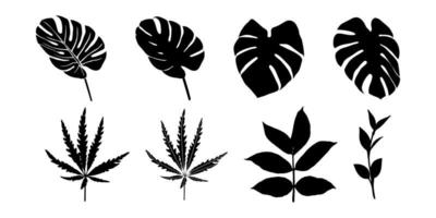 Set of black silhouettes of various leaves on a white background. Forest and tropical leaves. Black and white. Vector illustration.