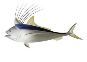 Roosterfish design Illustration. Vector Fish On White Background