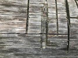 textura de madera. árbol dentado, casa de troncos. fondo natural de color gris. cortar agujeros, rayas rectangulares e incluso. árbol gris con toques amarillos foto