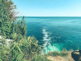 Balneario. hierba brillante y plantas al sol junto a la ola del mar. naturaleza en el balneario. mar azul con olas blancas. perforación de marea foto