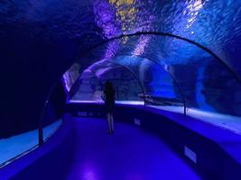 Large beautiful round glass tunnel under water in the aquarium with different fish. Concept tourism, sea world, diving photo