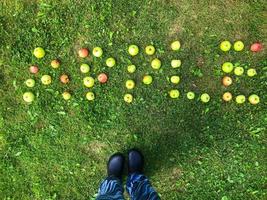 palabra de manzanas. las letras están forradas con manzanas. inscripción inusual en la hierba. la palabra manzana está llena de manzanas. los pies del jardinero en chanclos de goma negros están parados cerca foto