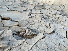Texture and gray color of dried cracked soil. Cracked dry soil in an old salt pond. Gray dry ground. Background deep cracks in the ground. Dried scenic mud. Salt marsh cracking ground. Barren land photo