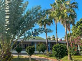 Beautiful heavenly palm trees with green large leaves against the background of small houses of buildings of a bungalow hotel in a warm eastern tropical country in the southern resort photo