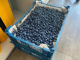 A box of delicious fresh beautiful healthy vitamin blueberry berry for healthy nutrition with antioxidants and trace elements photo