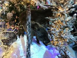 Pigs and boars, decorations and Christmas toys photo