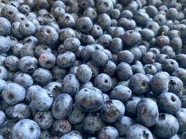 Delicious fresh beautiful healthy vitamin blueberry berry for wholesome nutrition with antioxidants and trace elements. Background, texture photo